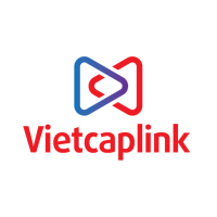 Vietcaplink